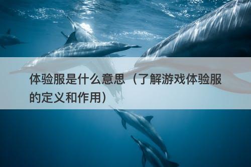 体验服是什么意思（了解游戏体验服的定义和作用）