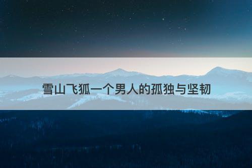 雪山飞狐一个男人的孤独与坚韧