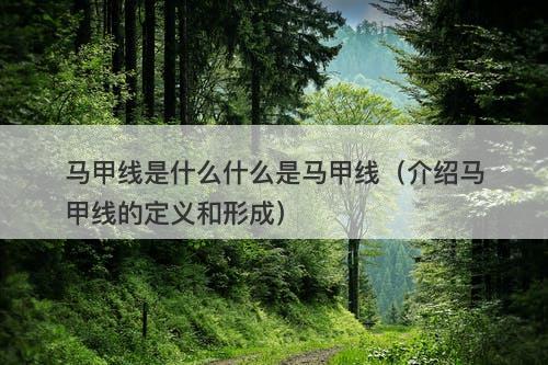 马甲线是什么什么是马甲线（介绍马甲线的定义和形成）