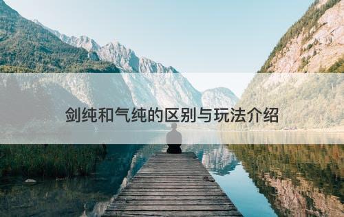 剑纯和气纯的区别与玩法介绍