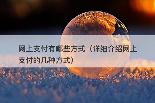 网上支付有哪些方式（详细介绍网上支付的几种方式）