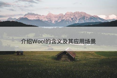 介绍Wool的含义及其应用场景