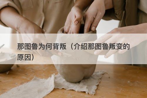 那图鲁为何背叛（介绍那图鲁叛变的原因）