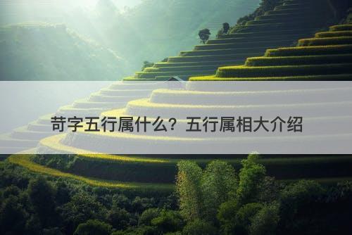 苛字五行属什么？五行属相大介绍