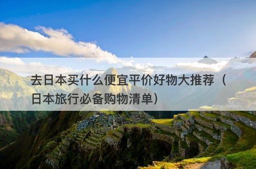去日本买什么便宜平价好物大推荐（日本旅行必备购物清单）