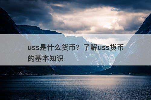 uss是什么货币？了解uss货币的基本知识