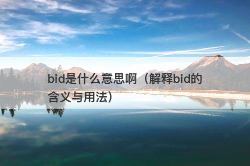 bid是什么意思啊（解释bid的含义与用法）