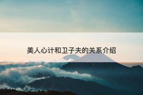 美人心计和卫子夫的关系介绍
