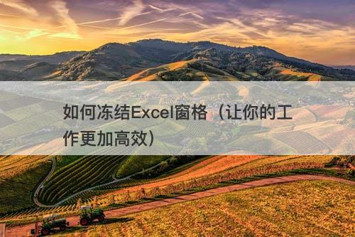 如何冻结Excel窗格（让你的工作更加高效）