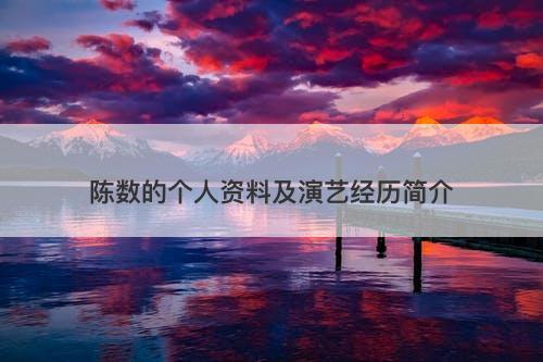 陈数的个人资料及演艺经历简介