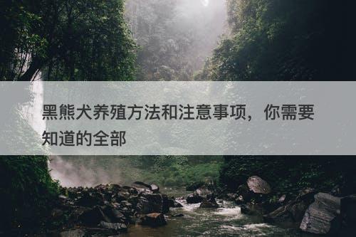 黑熊犬养殖方法和注意事项，你需要知道的全部