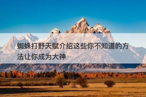 蜘蛛打野天赋介绍这些你不知道的方法让你成为大神