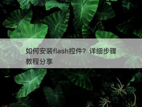 如何安装flash控件？详细步骤教程分享