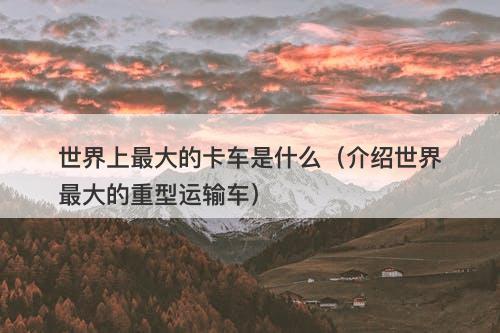 世界上最大的卡车是什么（介绍世界最大的重型运输车）