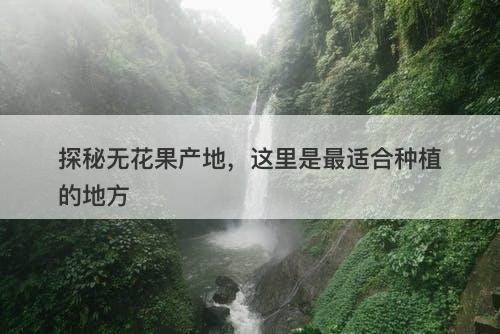 探秘无花果产地，这里是最适合种植的地方