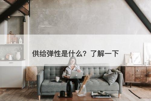 供给弹性是什么？了解一下