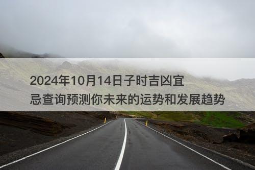 2024年10月14日子时吉凶宜忌查询预测你未来的运势和发展趋势