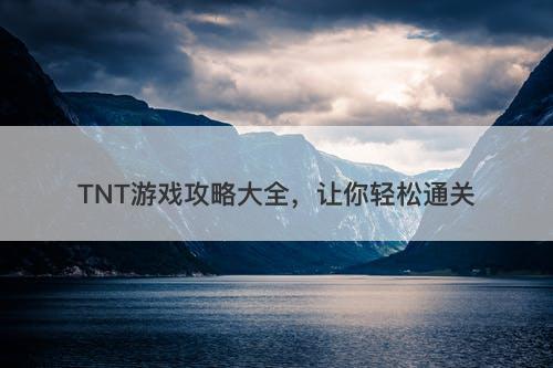 TNT游戏攻略大全，让你轻松通关