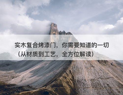 实木复合烤漆门，你需要知道的一切（从材质到工艺，全方位解读）