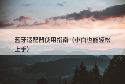 蓝牙适配器使用指南（小白也能轻松上手）