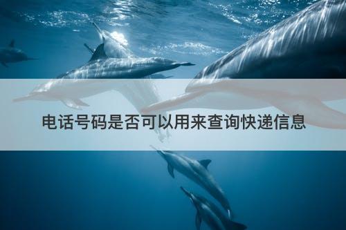 电话号码是否可以用来查询快递信息
