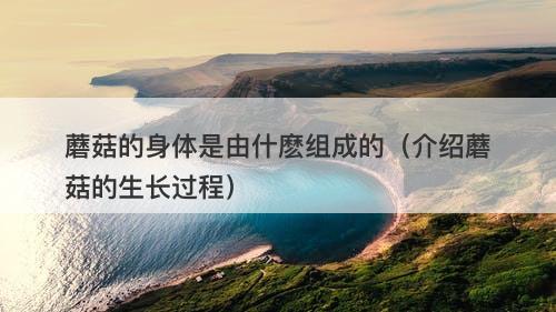 蘑菇的身体是由什麽组成的（介绍蘑菇的生长过程）
