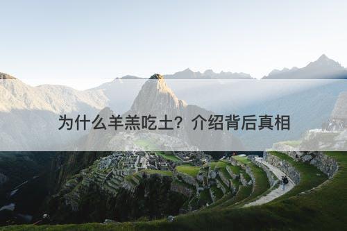为什么羊羔吃土？介绍背后真相