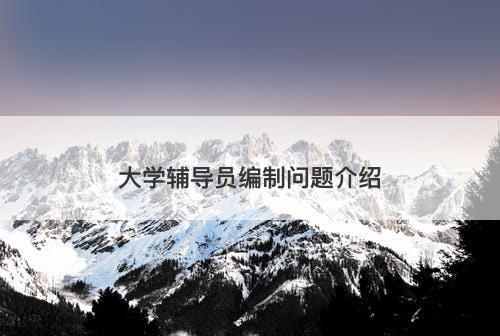 大学辅导员编制问题介绍