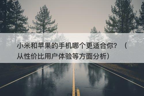 小米和苹果的手机哪个更适合你？（从性价比用户体验等方面分析）