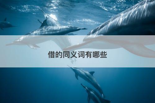 借的同义词有哪些