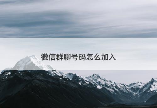 微信群聊号码怎么加入