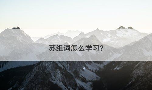 苏组词怎么学习？