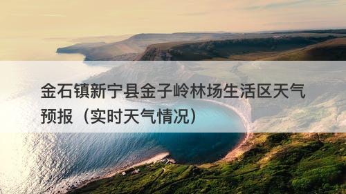金石镇新宁县金子岭林场生活区天气预报（实时天气情况）