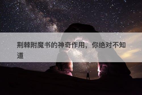 荆棘附魔书的神奇作用，你绝对不知道