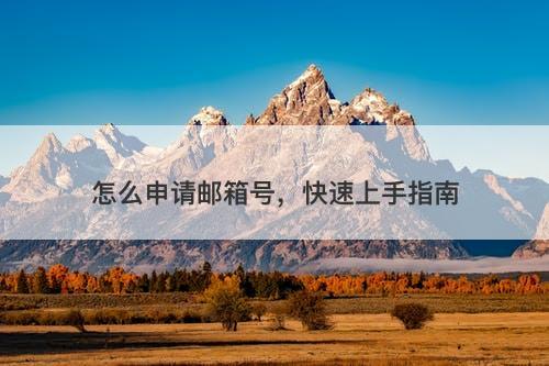 怎么申请邮箱号，快速上手指南