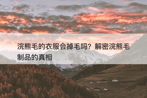 浣熊毛的衣服会掉毛吗？解密浣熊毛制品的真相
