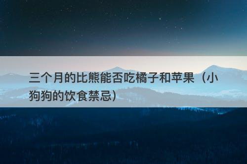 三个月的比熊能否吃橘子和苹果（小狗狗的饮食禁忌）