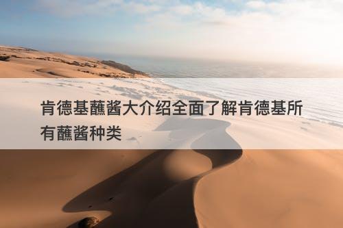肯德基蘸酱大介绍全面了解肯德基所有蘸酱种类