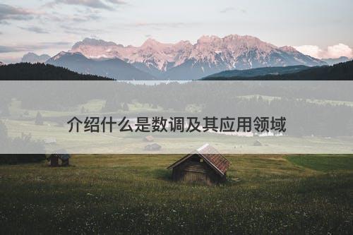 介绍什么是数调及其应用领域