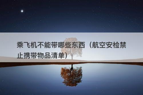 乘飞机不能带哪些东西（航空安检禁止携带物品清单）