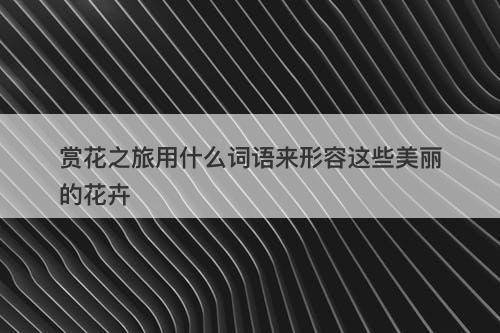 赏花之旅用什么词语来形容这些美丽的花卉