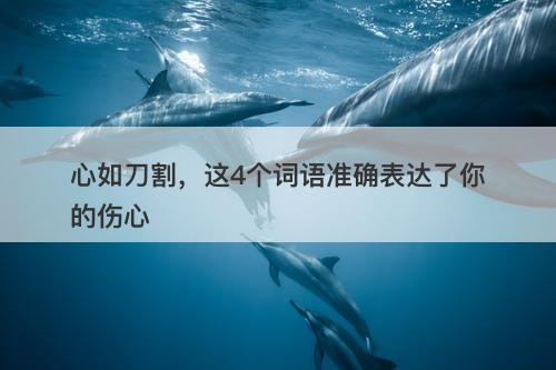 心如刀割，这4个词语准确表达了你的伤心