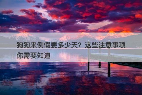 狗狗来例假要多少天？这些注意事项你需要知道