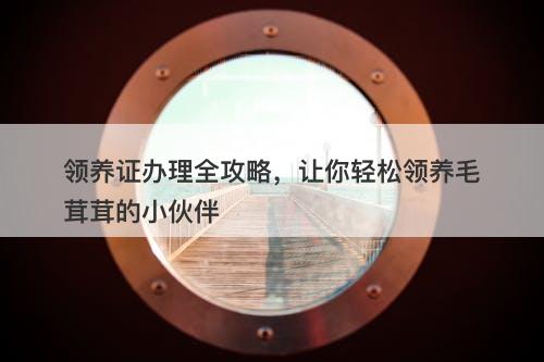 领养证办理全攻略，让你轻松领养毛茸茸的小伙伴