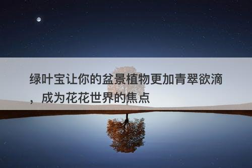 绿叶宝让你的盆景植物更加青翠欲滴，成为花花世界的焦点