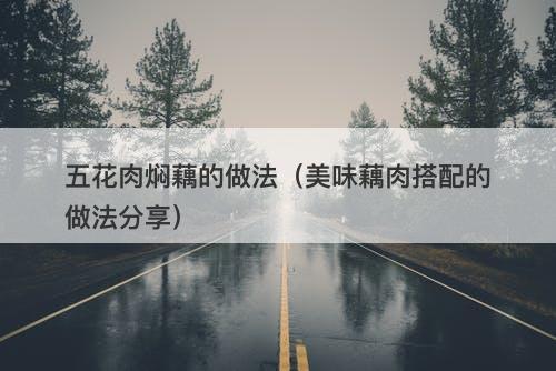 五花肉焖藕的做法（美味藕肉搭配的做法分享）
