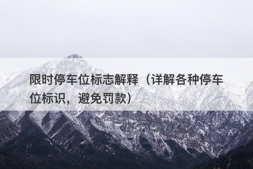 限时停车位标志解释（详解各种停车位标识，避免罚款）