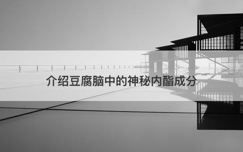 介绍豆腐脑中的神秘内酯成分