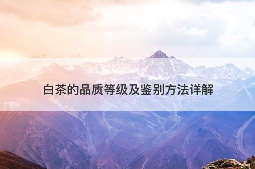 白茶的品质等级及鉴别方法详解