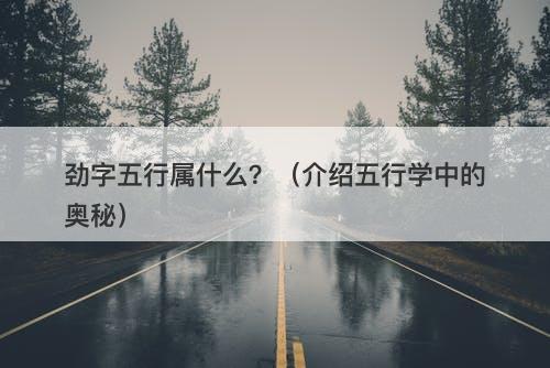 劲字五行属什么？（介绍五行学中的奥秘）